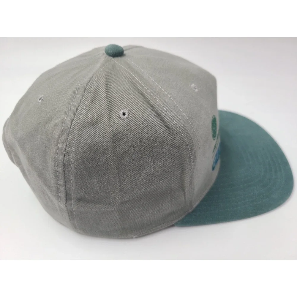 Vintage Grainger GE Motors & Industrial Systems‎ Snapback Hat Cap Men Women Gray